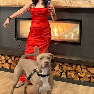 House of CB Adrienne